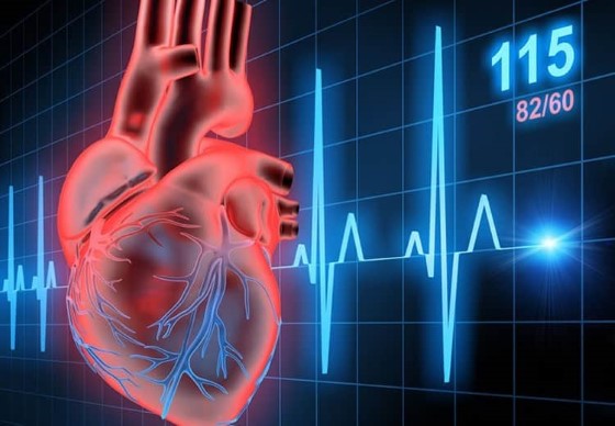 CBD potenciálně dokáže potlačovat nepravidelný či velmi rychlý srdeční tep zapříčiněný srdeční arytmií (například tachykardií apod.)